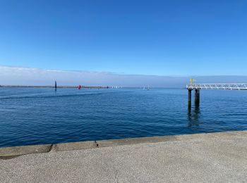 Randonnée Vélo de route Cherbourg-en-Cotentin - Autour de Cherbourg en vélo - Photo