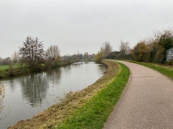 Tocht Stappen Frelinghien - Frelinghien 10,9 km - Photo