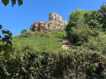 Percorso Marcia Solutré-Pouilly - Roche de Solutré - Photo