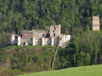 Randonnée A pied Gemeinde Lichtenegg - Rundwanderweg D10: Teufelsteinweg (Kirchschlag in der Bucklingen Welt) - Photo