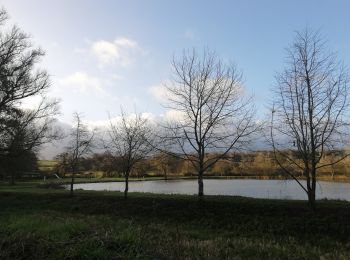 Tocht Stappen Boivre-la-Vallée - Montreuil-Bonnin  - Photo