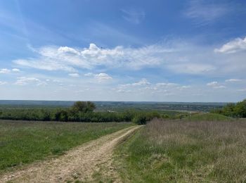 Trail Walking Vétheuil - La petite Suisse - Photo