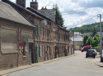 Randonnée A pied Saint-Martin-au-Bosc - Edruchon - Photo