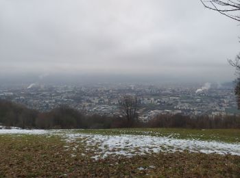 Tocht Trail Eybens - Le Mûrier - Photo