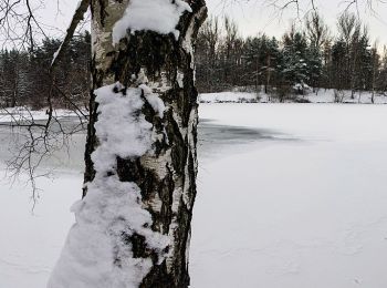 Tocht Te voet Feucht - Jägersee Imkerrunde No.3 - Photo