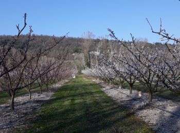 Tocht Stappen Livron-sur-Drôme - livron coteaux de brezem - Photo