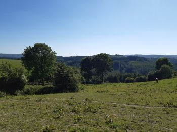 Trail Walking Stoumont - stoumont . corniche - congo . chateau froidcourt . ambleve . stoumont - Photo