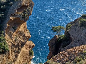 Excursión Senderismo La Ciotat - Falaise La Ciotat - Mugel - ND de la Garde - Ste Frétouse - Photo