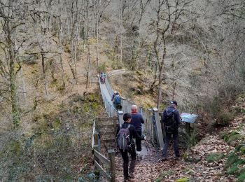 Randonnée Marche Lapleau - passerelle  1 - Photo