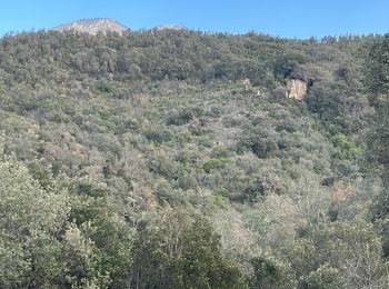 Excursión Senderismo Le Boulou - Le Boulou, chapelle saint Phillipe, mas d'en Conte - Photo