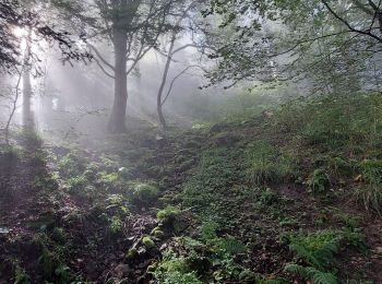 Randonnée Marche Soultz-Haut-Rhin - Grand ballon  - Photo