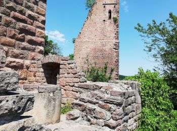 Randonnée Marche Husseren-les-Châteaux - Marbach- Col de Stauffen- Husseren 3 Chateaux Marbach à pied - Photo