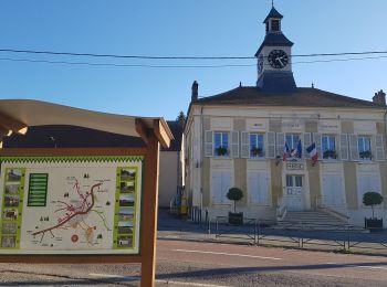 Tour Wandern Montreuil-aux-Lions - Montreuil -aux-Lions ADR - Photo