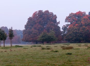 Tocht Te voet Dülmen - Haus Waldfrieden Rundweg A6 - Photo