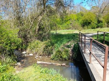 Randonnée V.T.C. Ferrières-en-Brie - Etangs de Tafarrette - Forêt de Ferrieres  - Photo