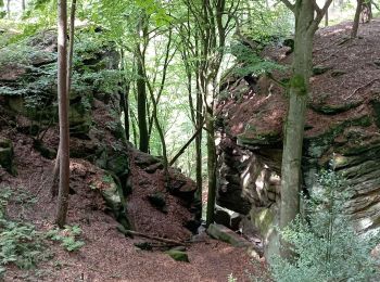 Randonnée Marche Berdorf - Berdorf (Luxembourg) - Photo