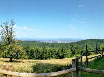 Tour Wandern Saint-Rirand - becajat depuis la croix du sud - Photo