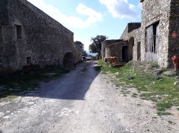 Percorso Marcia Puéchabon - Balcons de l'Herault - Photo