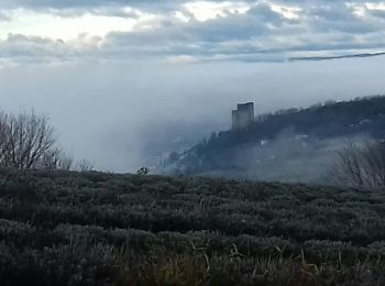 Tour Wandern Crest - Crest  - Photo