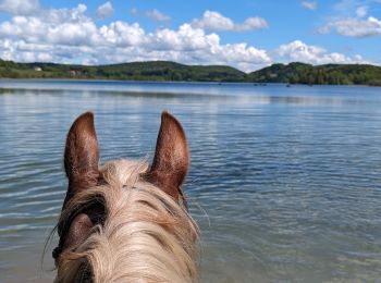 Trail Horseback riding Menétrux-en-Joux - suuntoapp-HorsebackRiding-2024-05-19T07-42-52Z - Photo