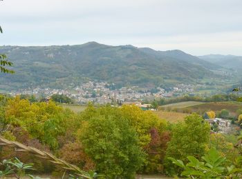 Tour Zu Fuß Godiasco Salice Terme - Anello della Collina - Photo