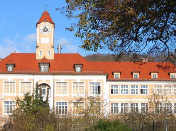 Tour Zu Fuß Kulmbach - Frühlingshöhen-Weg KU 41 - Photo