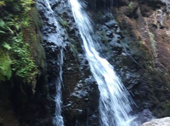 Tour Wandern Villapourçon - Villapourçon - Photo