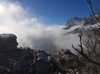 Tocht Stappen Le Gua - L'Eperrimont depuis Prélenfrey - Photo