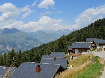 Percorso Marcia Peisey-Nancroix - Peisey Vallandry Les Charmettes Le Villaret - Photo