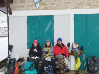 Tour Wandern Engins - Engins la Molière  - Photo