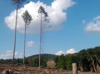 Tocht Te voet Hüllhorst - A3 Hüllhorst-Oberbauernschaft - Photo