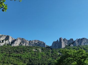 Percorso Marcia Gigondas - Les dentelles de Montmirail depuis Gigondas - Photo