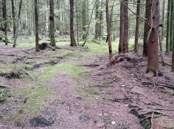 Trail Geocaching La Bourgonce - cepes - Photo