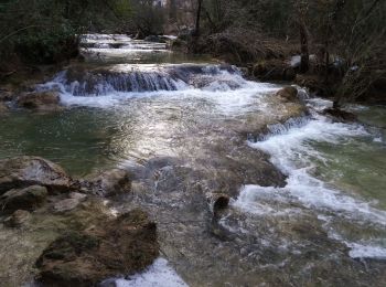 Tocht Stappen Sillans-la-Cascade - Sillans-la-cascade - Photo