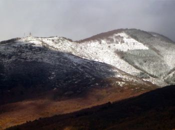 Percorso A piedi Loro Ciuffenna - Anello S.Clemente in Valle - Poggio di Loro - Rocca Ricciarda - Pratomagno - Trappola - Photo