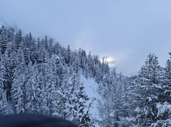 Percorso Racchette da neve Pralognan-la-Vanoise - Les Fontanettes  - Photo