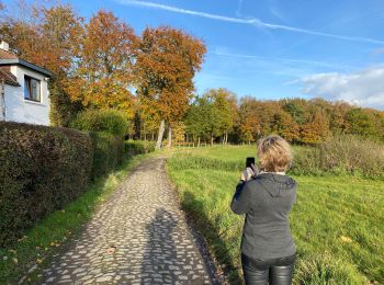 Randonnée Marche Lasne - Lasne  - Photo