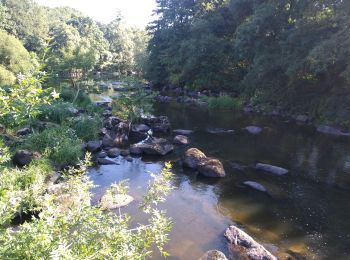 Tour Wandern La Bruffière - boucle Boussay Hucheloup  - Photo