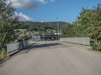 Trail On foot Balsthal - Schwängimatt - Klus - Photo