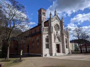 Percorso A piedi Dubí - [M] Dubský východní okruh - Photo