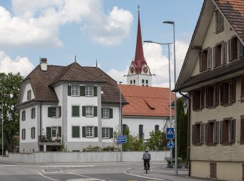 Trail On foot Ettiswil - Grosswangen - Vorder Wellbrig - Photo