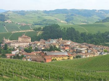 Tocht Stappen Barolo - Barolo La Morra - Photo