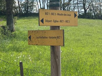 Tour Wandern Les Bizots - 20230502_Les Bizots-parcours BIZ1 - Photo