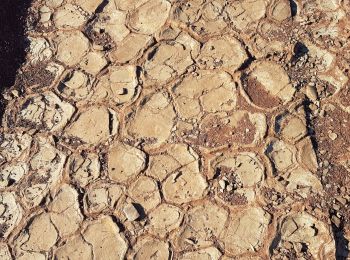 Excursión Marcha nórdica Celles - Salagou Les Vailhés L'Auverne Octobre 2021 - Photo