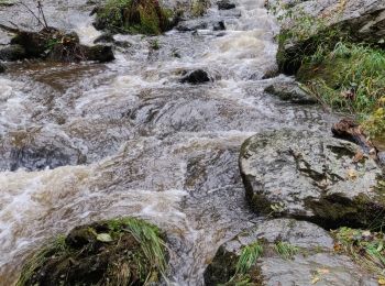 Tocht Stappen Mortain-Bocage - Mortain - Photo