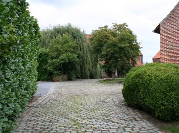 Trail On foot Aalst - Kersenwandeling - Photo