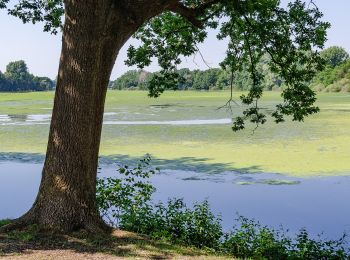 Tocht Te voet Nettetal - Nette Seen - Photo