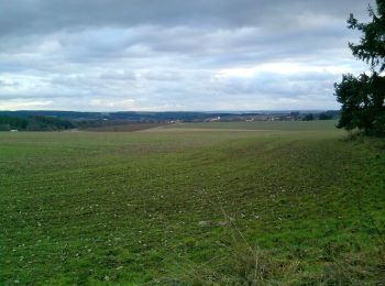 Percorso A piedi Planá - NS Kosový potok - Photo