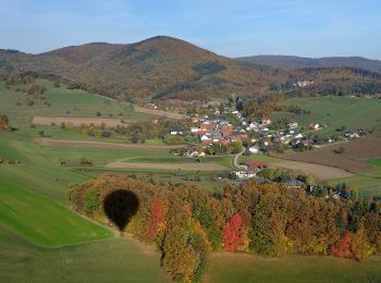 Trail On foot Gemeinde Alland - Allander Wanderweg 7 - Photo