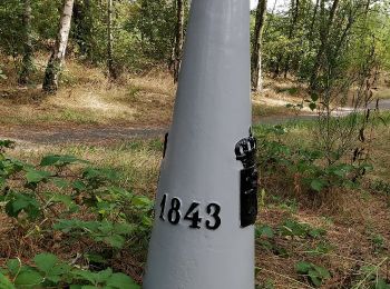 Trail On foot Antwerp - Wandelpad Specht - Photo